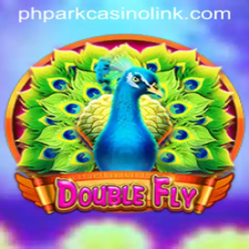 DoubleFly: A Thrilling Arcade Experience with a Twist of Casino Excitement